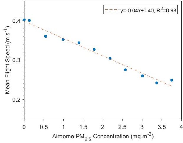 Figure 4 Relationship between mean flight speed and PM2.5 concentration