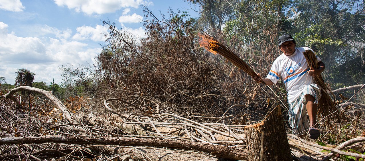 Farmers burning practices and conservation in Mozambique