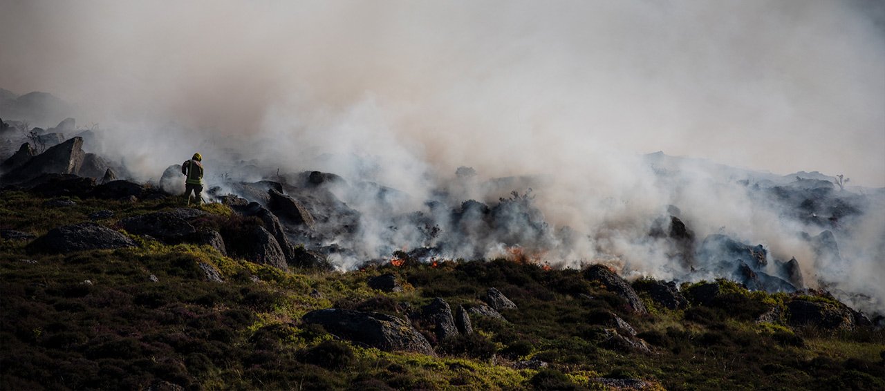 Economic, social and institutional drivers of wildfire management