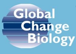 New study using state-of-the-art fire-vegetation models estimates a 10% global reduction in tree covered area and vegetation carbon storage due to fire
