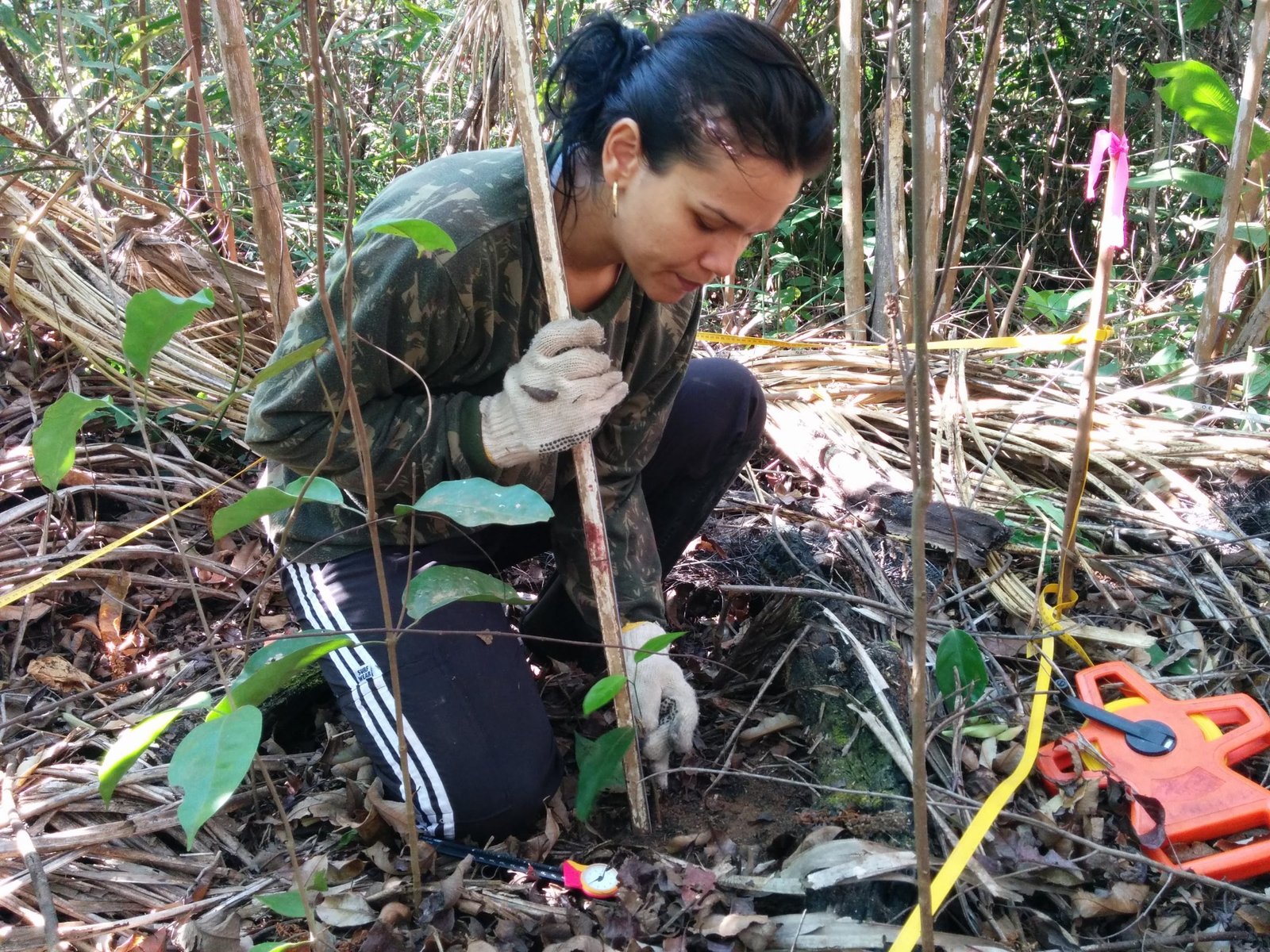 Developing a global wildfire taxonomy