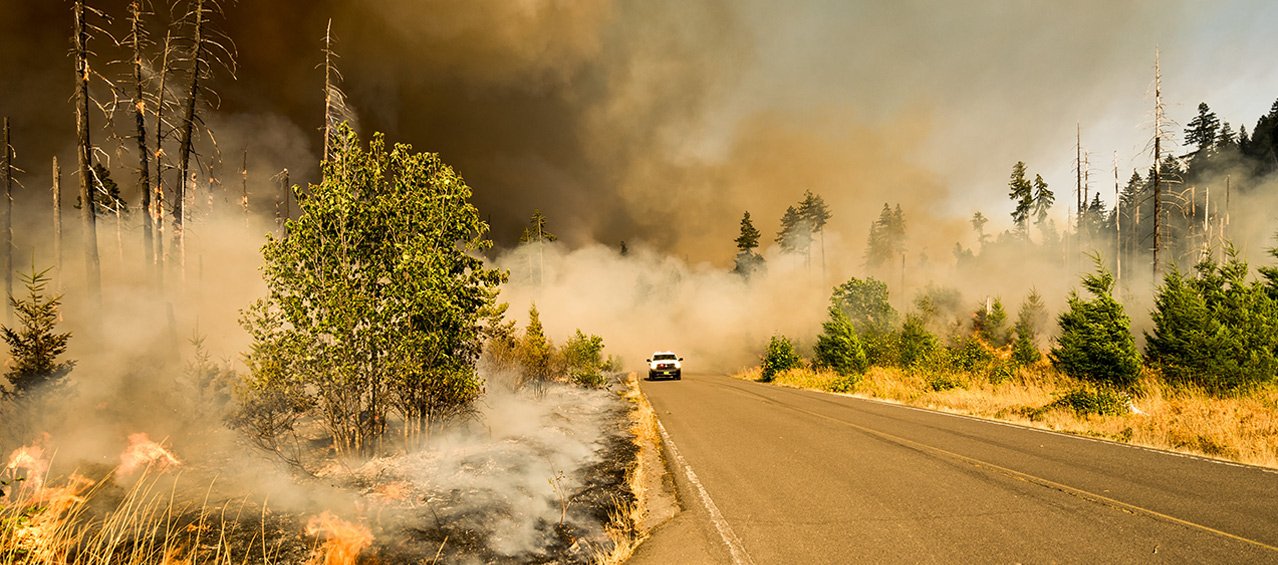 Developing global modelling capabilities to represent wildfires in the Earth system