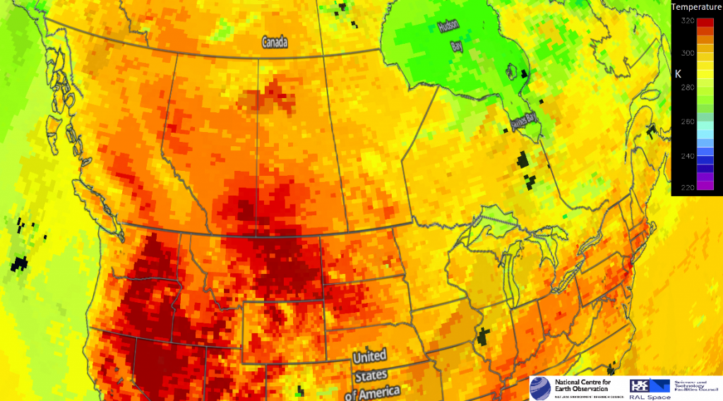 NCEO Researchers track effects of the devastating Western North America heatwave