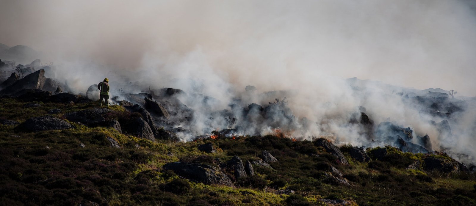 The impact of anthropogenic land-use changes on fire regimes during the Holocene