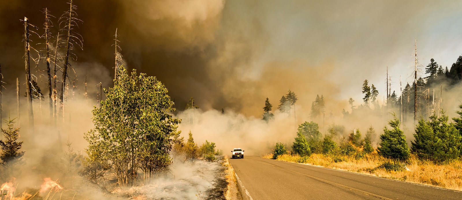 Machine Learning and Data Assimilation for Accurate Wildfire Predictions and Estimations.