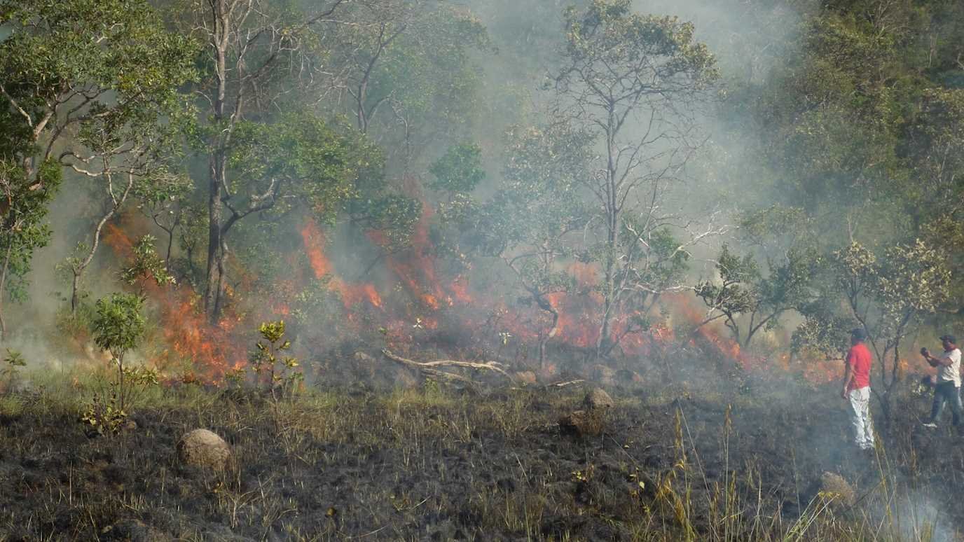Global data collation and analysis of fire practices within smallholder and subsistence-oriented livelihoods