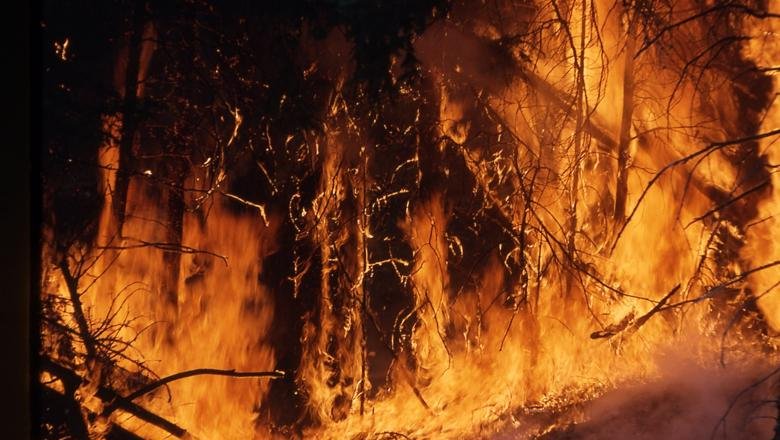 Wildfires becoming harder to control (10 Aug 2021)