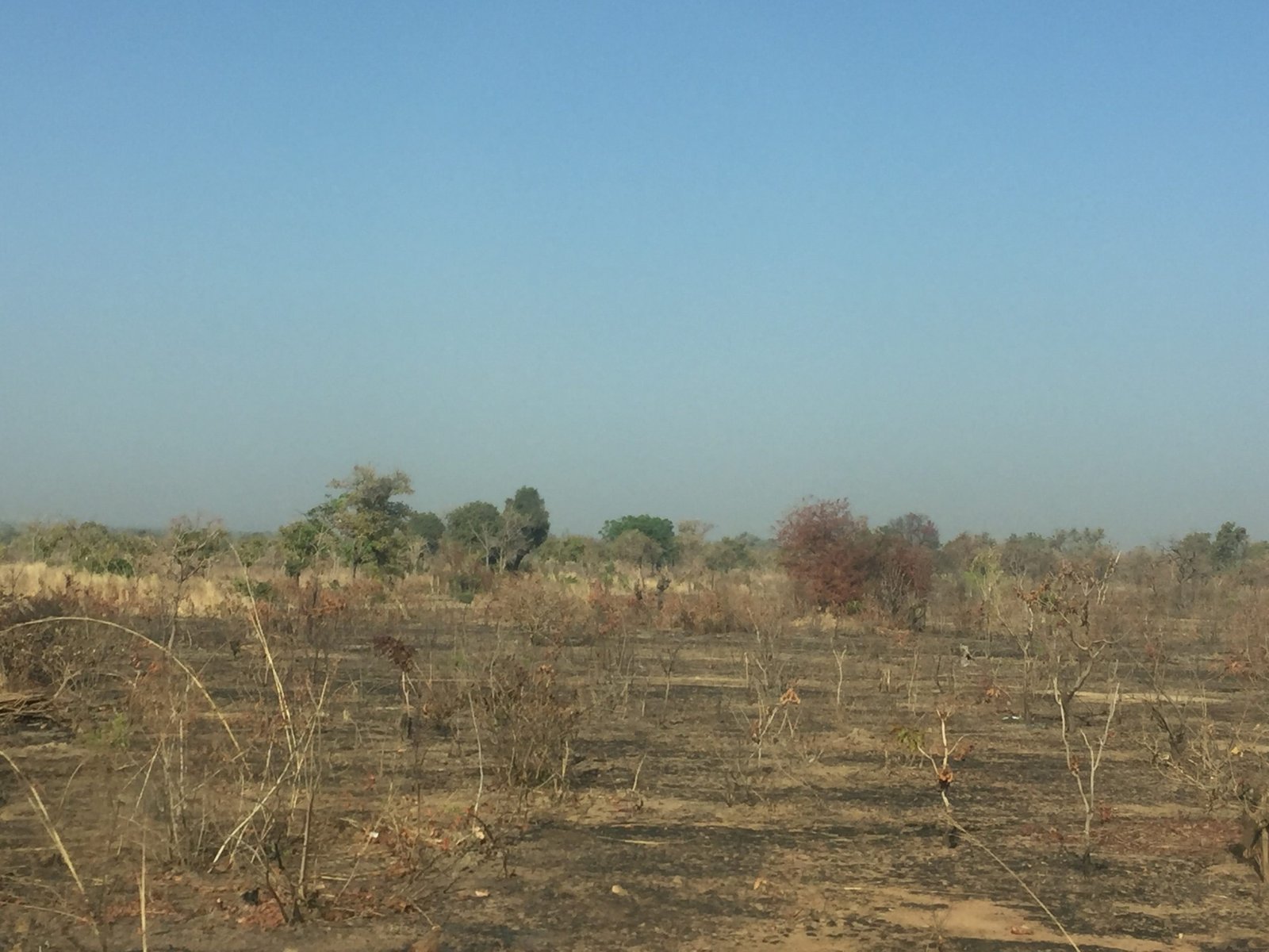 Understanding the trade-offs between traditional and government approaches to fire management in the savannah woodlands of northern Ghana