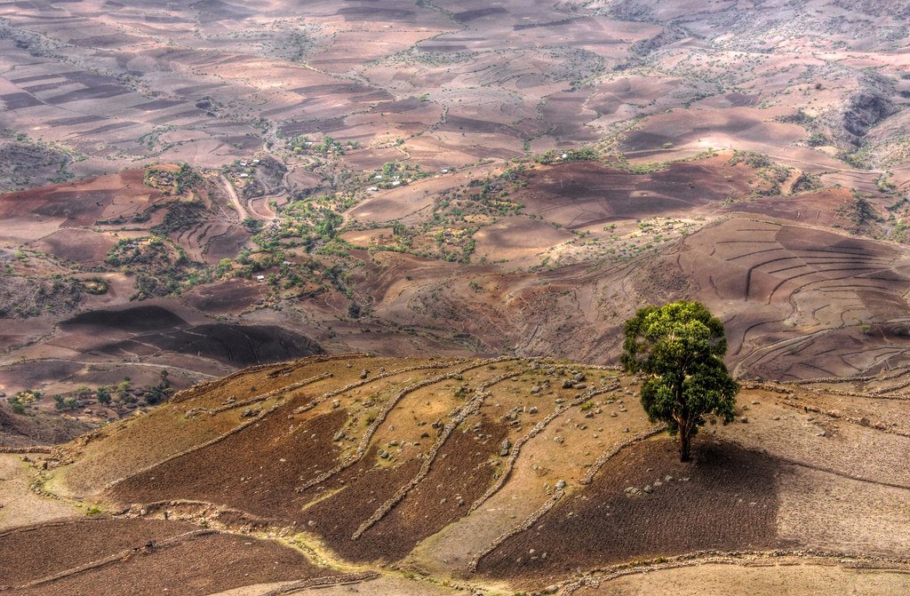 Physical and socio-economic drivers of changing fire dynamics in Ethiopia’s drylands and impacts on ecosystem services
