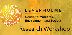 Leverhulme Wildfires Research Workshop – Mediterranean Wildfires (15 June)