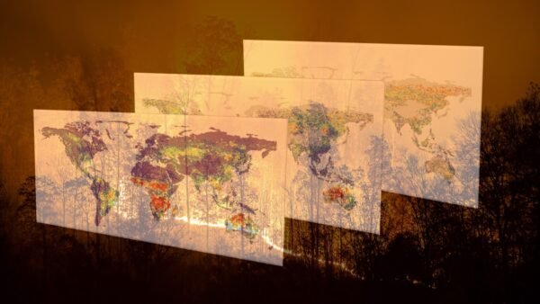 Wildfires from above – What can and can’t we “hear”?