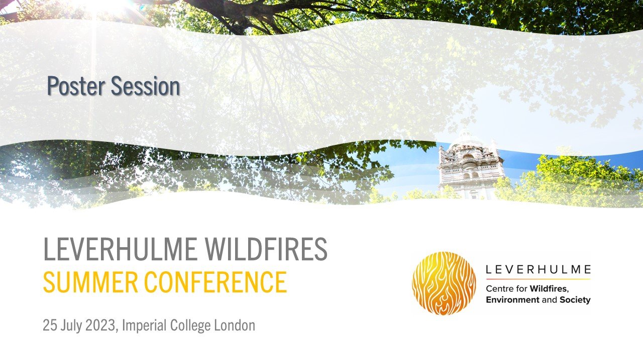 Leverhulme Wildfires Poster Session 2023