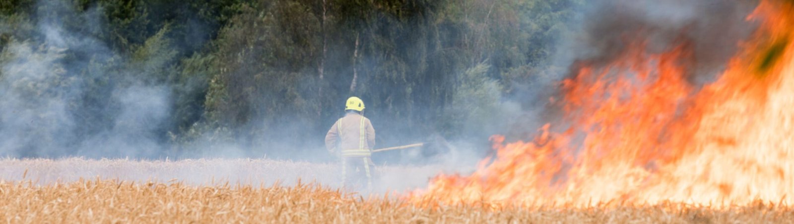 Wildfires FAQs