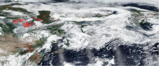 High-latitude fires and the future of Earth’s climate
