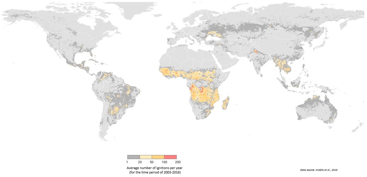 Studies of wildfire impact on atmospheric composition and climate on a global scale