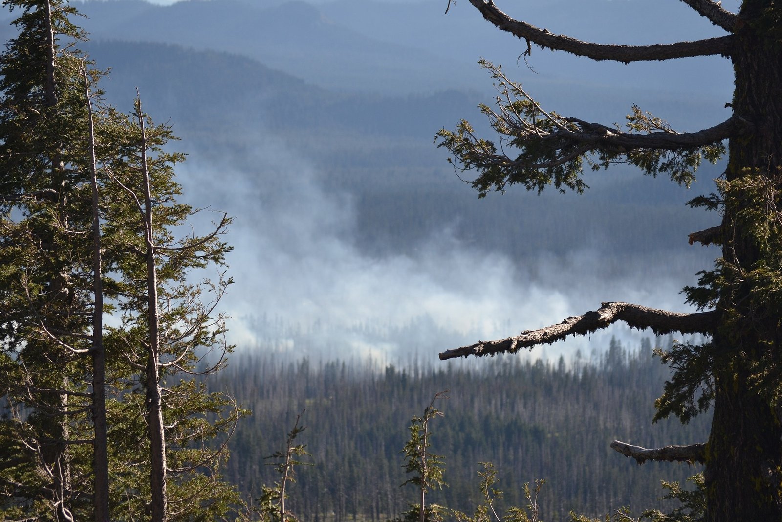 Why fire limits our options to respond to climate change