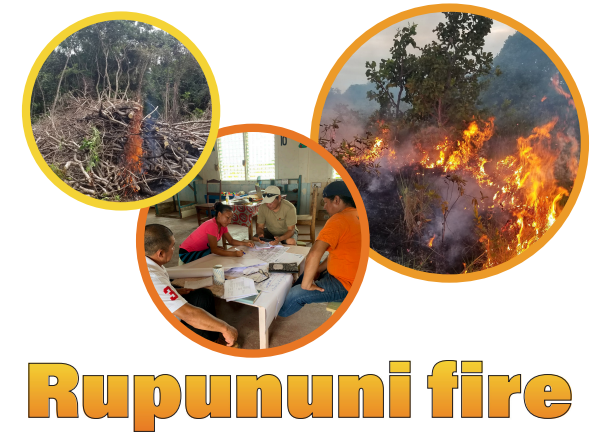 Rupununi Fire Recommendations