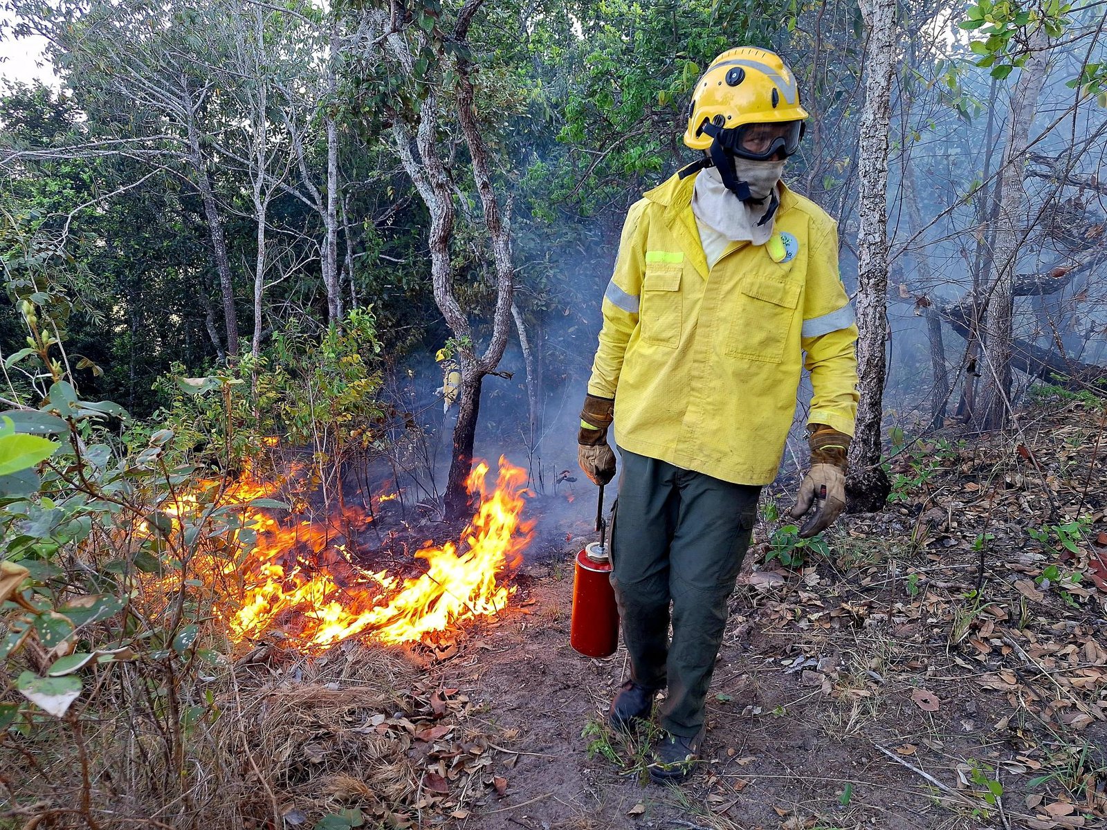 Fire governance