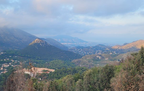 Stakeholders’ Perspectives on Wildfire Management in Monreale, Sicily