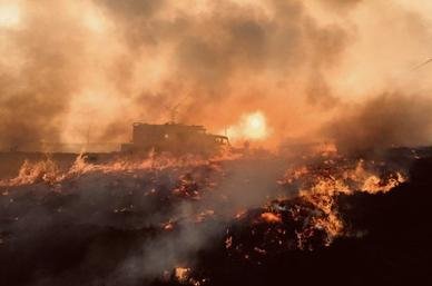 Emerging wildfire threats to the UK
