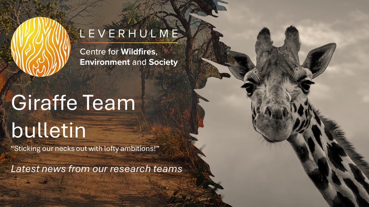 Giraffe Team Bulletin – latest from the new Leverhulme Wildfires research teams. No.2