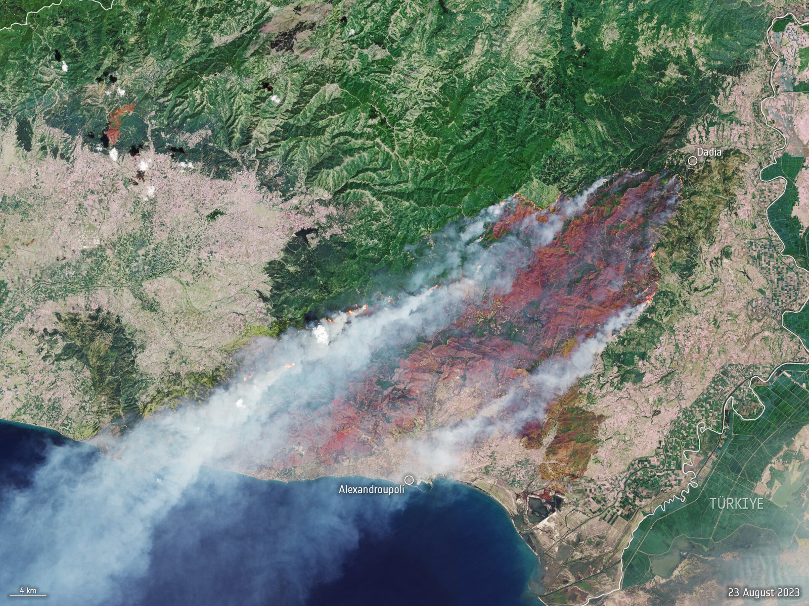 AI-driven, global, near real-time, active fire detection method using remote sensing data