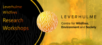 Leverhulme Wildfires Research Workshop – Bridging Global Models with Local Stakeholders (17 Dec 2025)