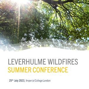 Conference-flyer-square