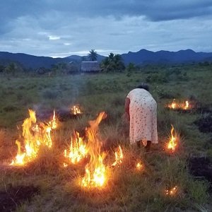 Fire-governance-WG