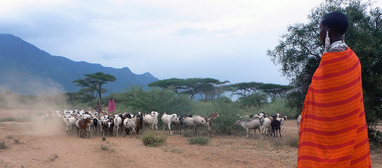 herders-moving-livestock-across-a-savanna-landscape